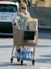 grocery-003.jpg